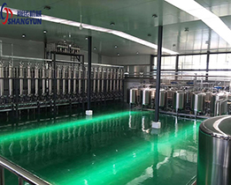 果蔬酵素加工生產線 生物制藥加工生產線